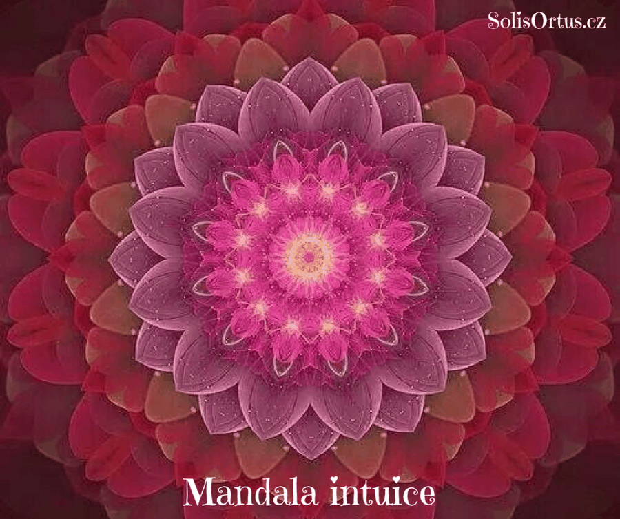 Mandala intuice